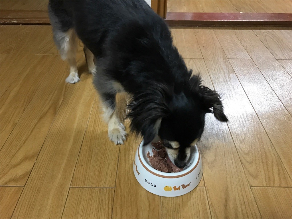 f:id:akie1000:20170522235016j:image