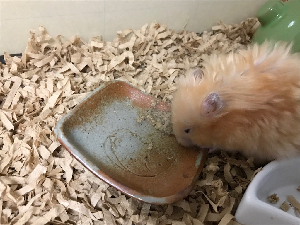 f:id:akie1000:20170522235649j:image