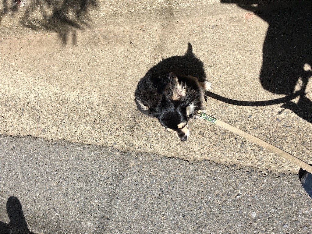 f:id:akie1000:20170524010347j:image