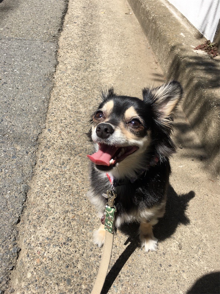 f:id:akie1000:20170524010411j:image