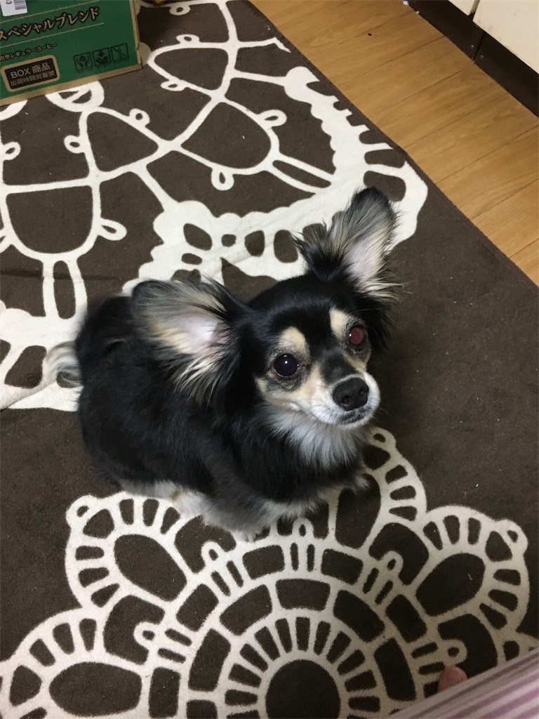 f:id:akie1000:20170524010430j:image