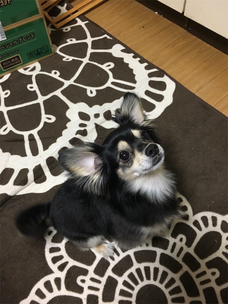 f:id:akie1000:20170524010437j:image