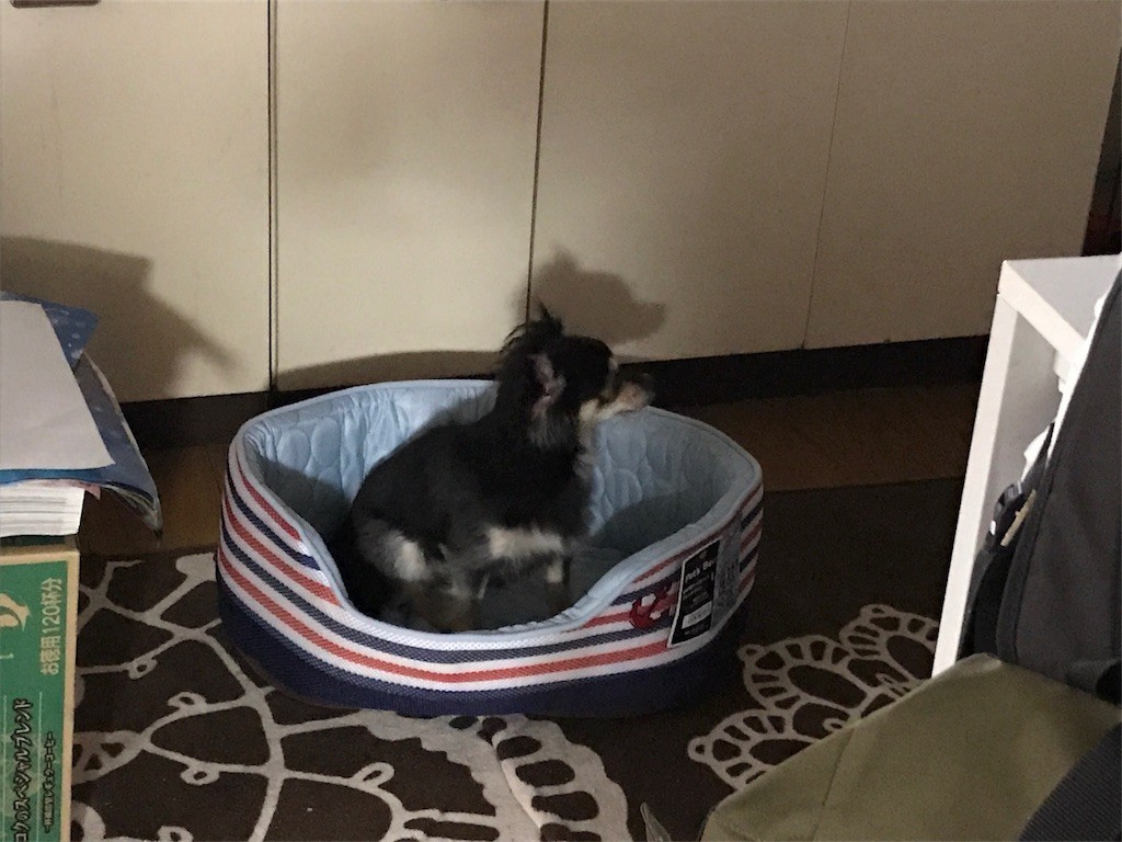 f:id:akie1000:20170601203950j:image