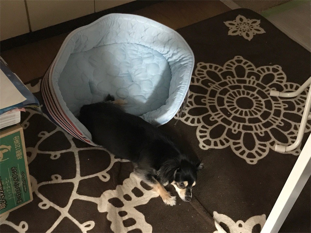 f:id:akie1000:20170601204038j:image