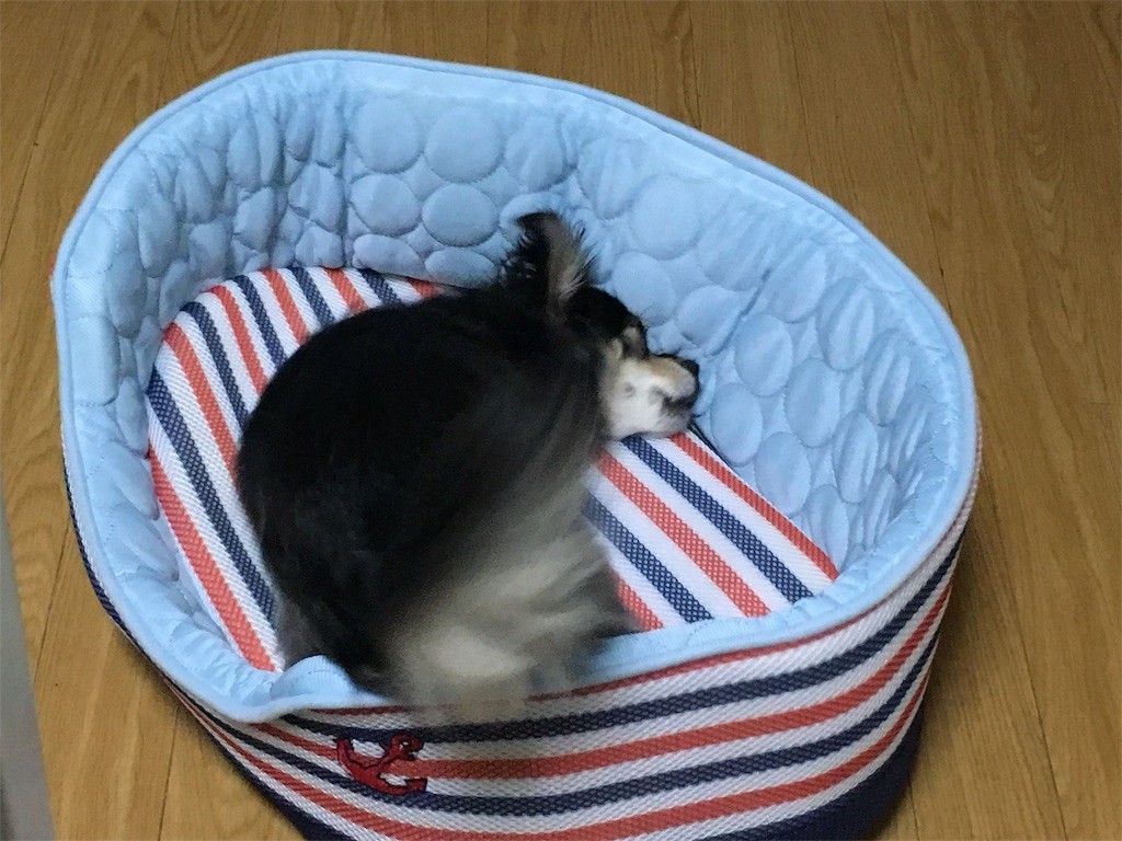 f:id:akie1000:20170601204133j:image