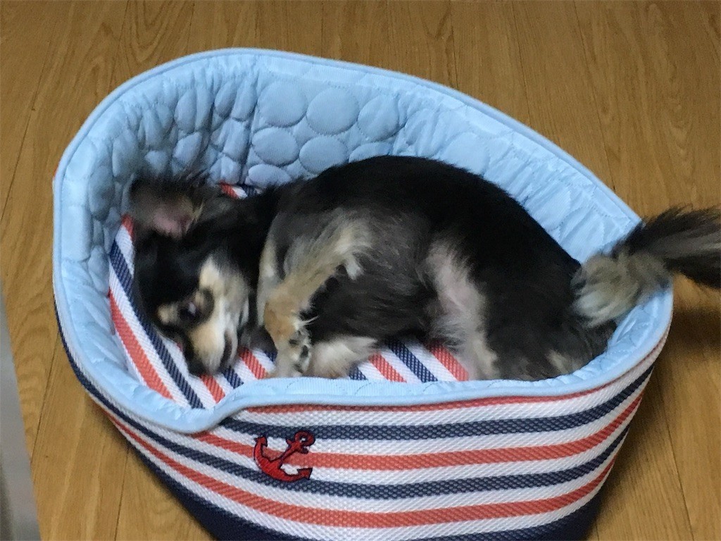 f:id:akie1000:20170601204144j:image