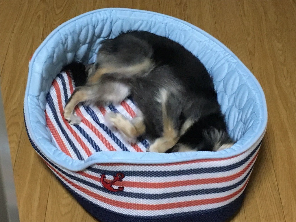 f:id:akie1000:20170601204156j:image