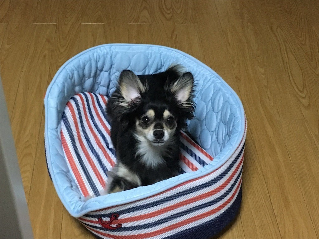 f:id:akie1000:20170601204214j:image