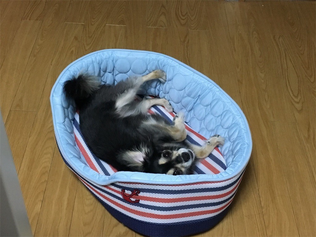 f:id:akie1000:20170601204246j:image