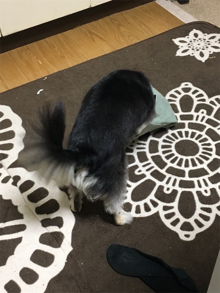 f:id:akie1000:20170601204351j:image