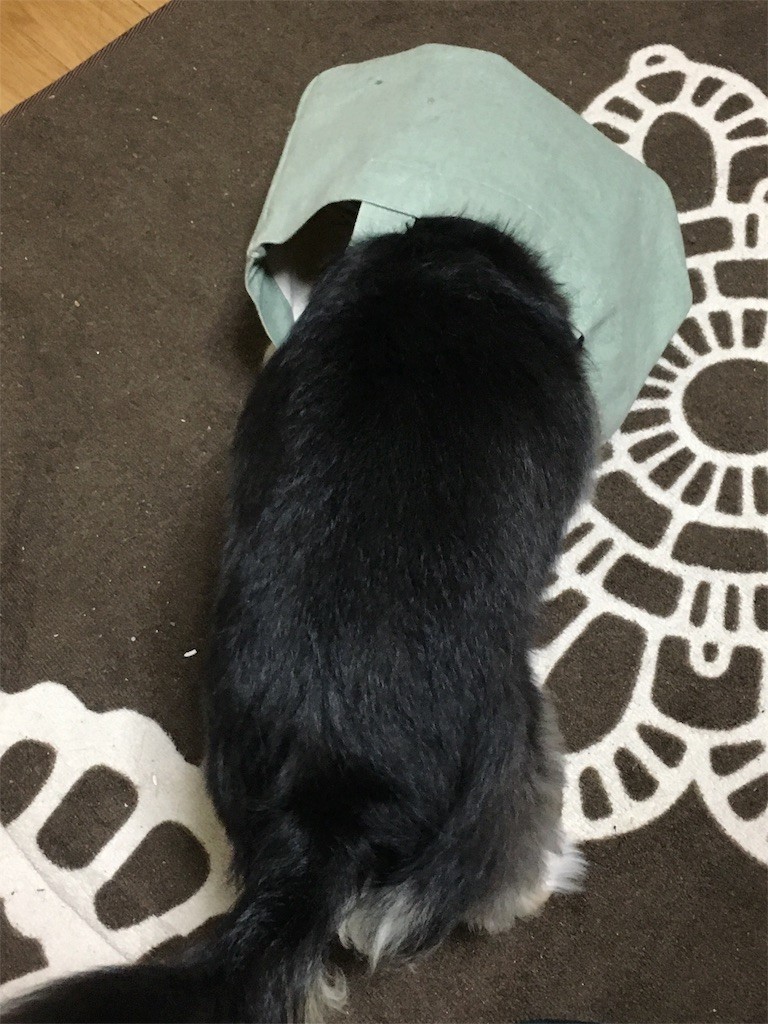 f:id:akie1000:20170601204400j:image