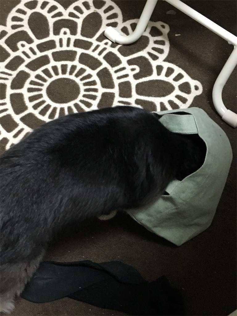 f:id:akie1000:20170601204412j:image