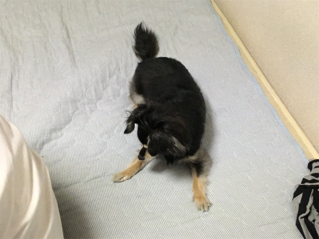 f:id:akie1000:20170603020028j:image