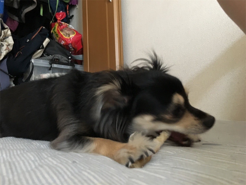 f:id:akie1000:20170603020151j:image