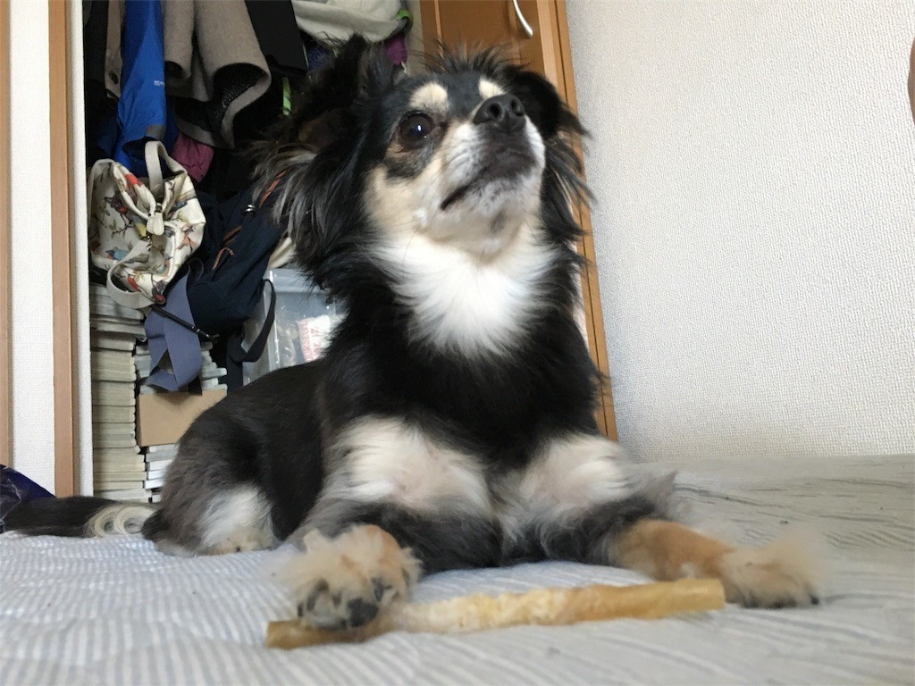 f:id:akie1000:20170603020208j:image