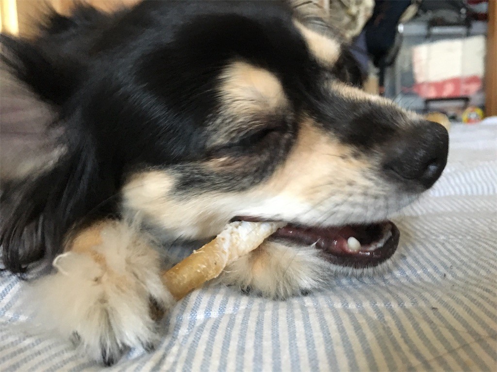 f:id:akie1000:20170603020229j:image