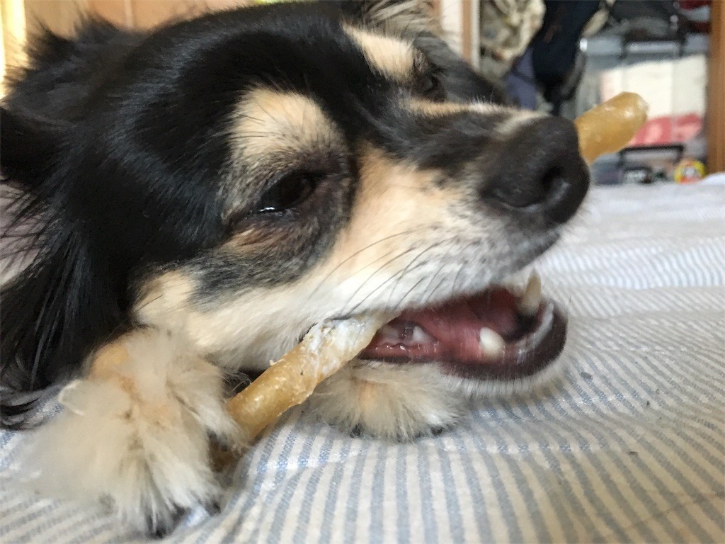 f:id:akie1000:20170603020236j:image