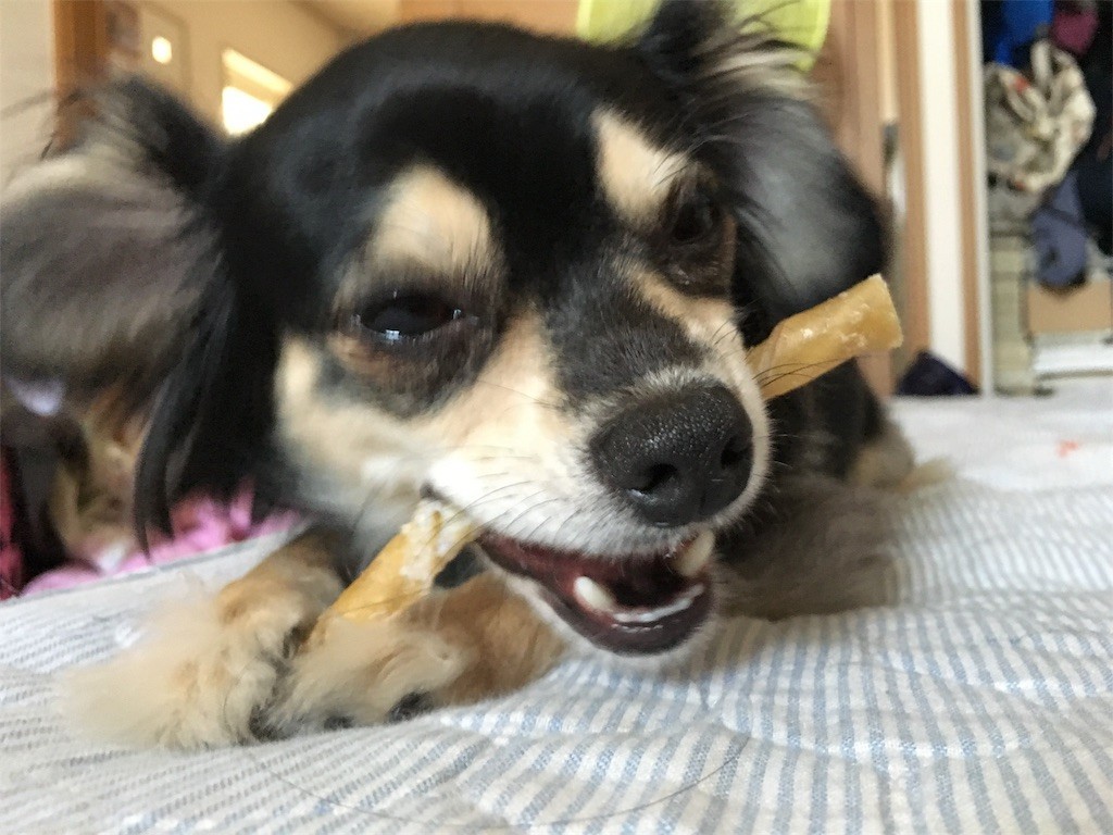 f:id:akie1000:20170603020304j:image