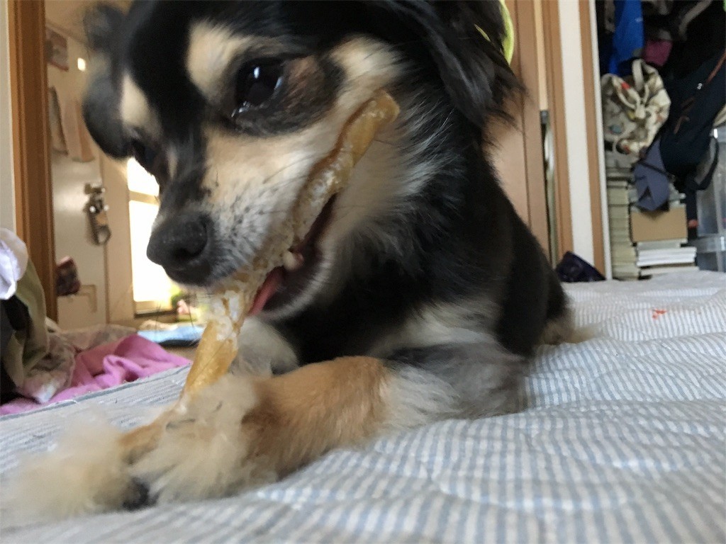 f:id:akie1000:20170603020316j:image