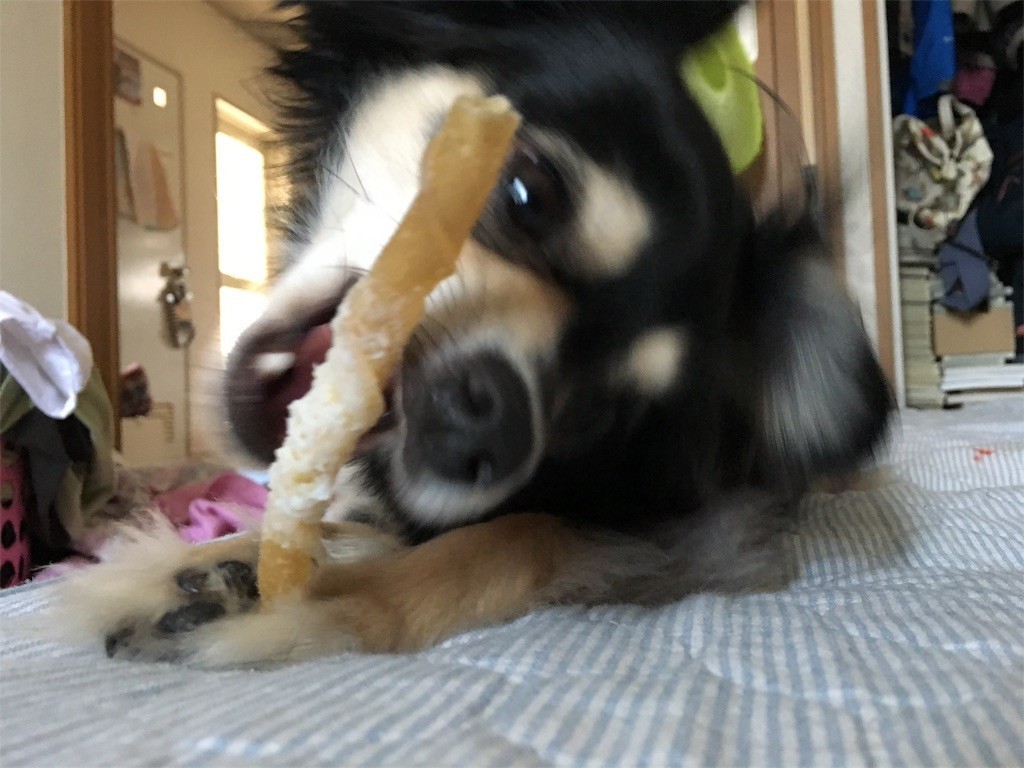 f:id:akie1000:20170603020334j:image