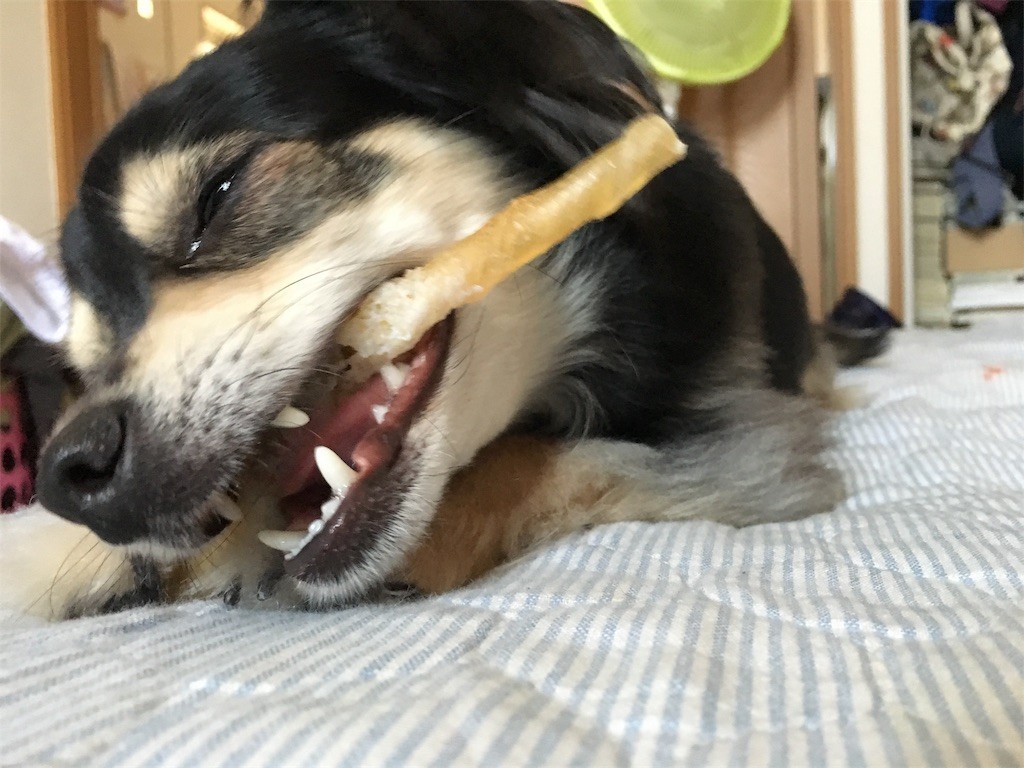 f:id:akie1000:20170603020345j:image