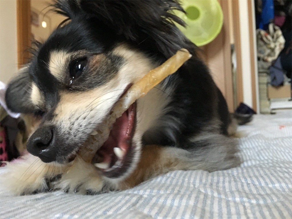 f:id:akie1000:20170603020358j:image