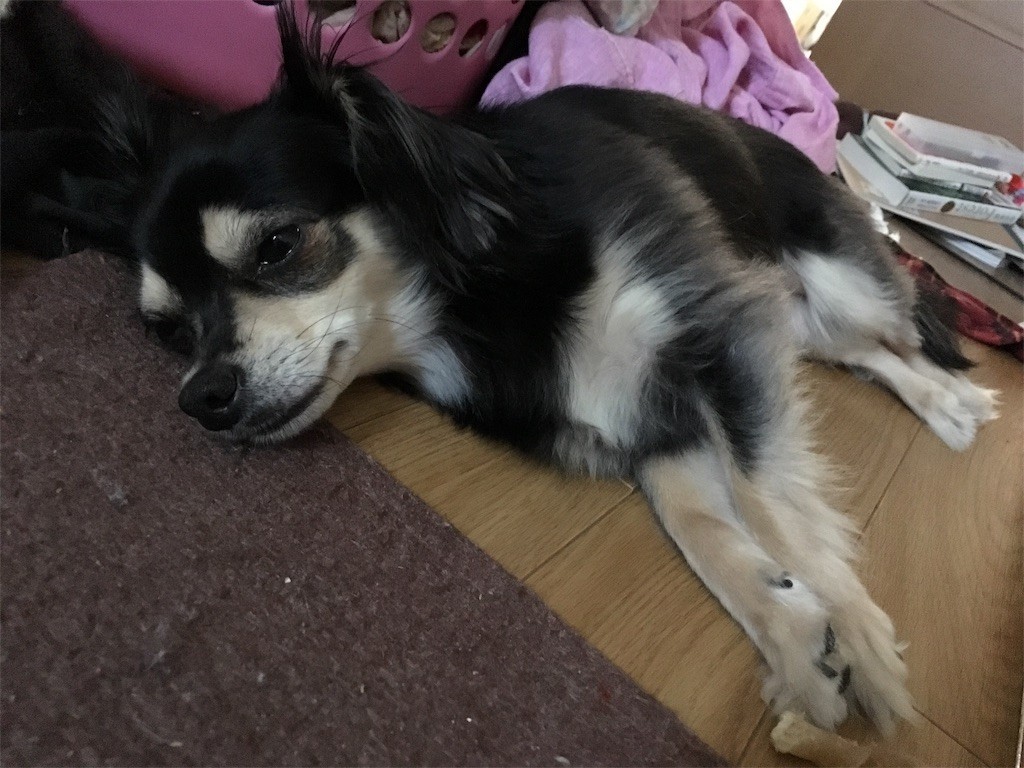 f:id:akie1000:20170603020410j:image