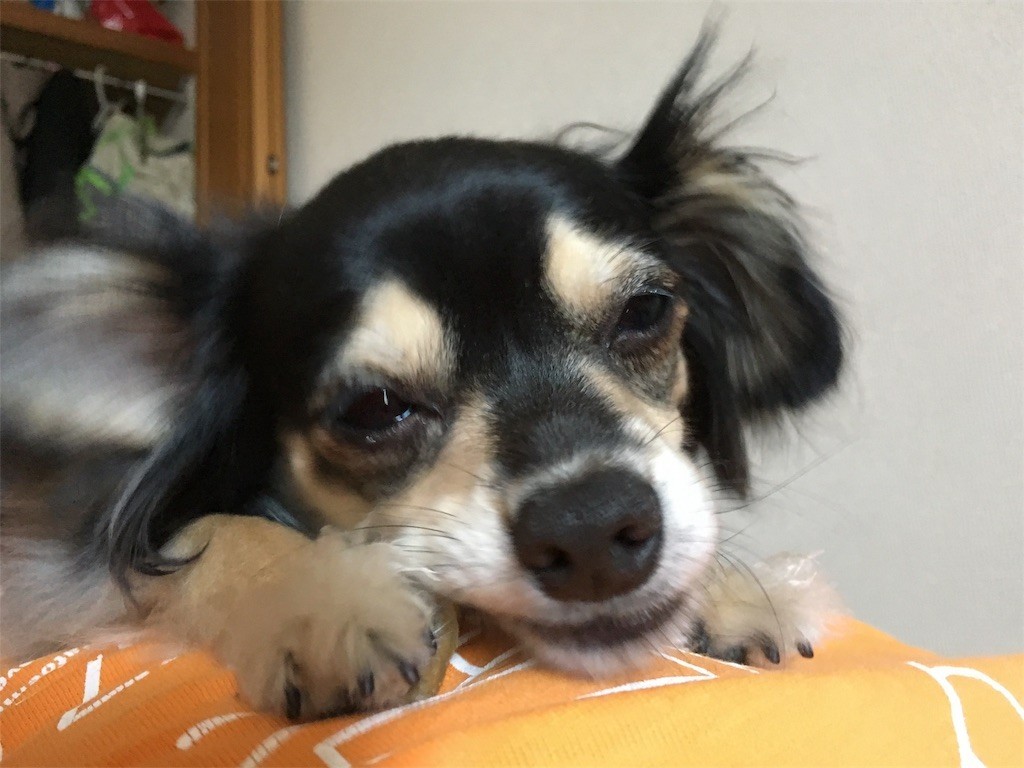 f:id:akie1000:20170604135307j:image