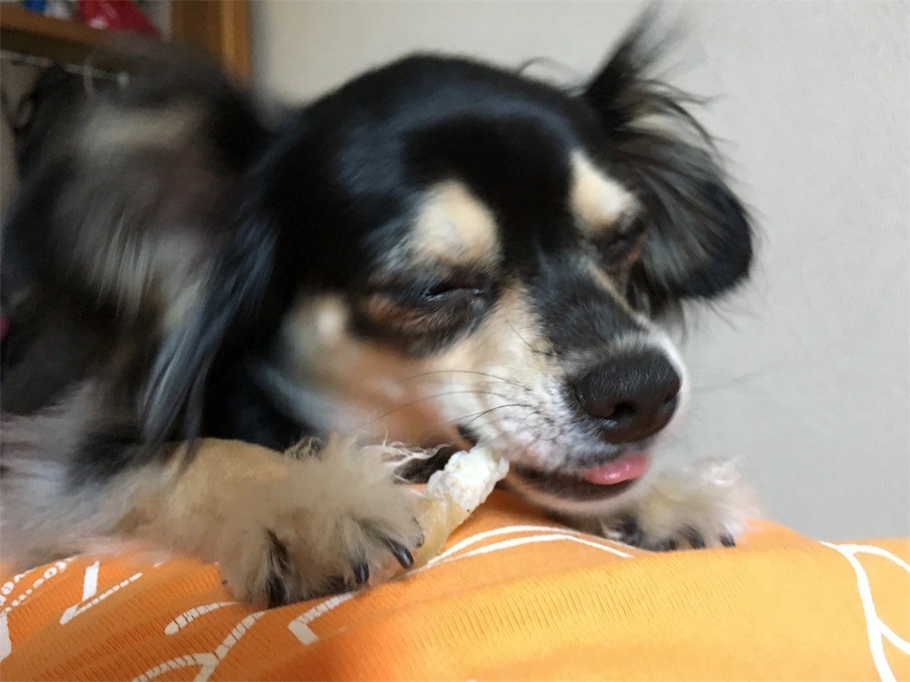 f:id:akie1000:20170604135314j:image