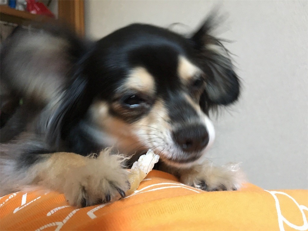 f:id:akie1000:20170604135322j:image