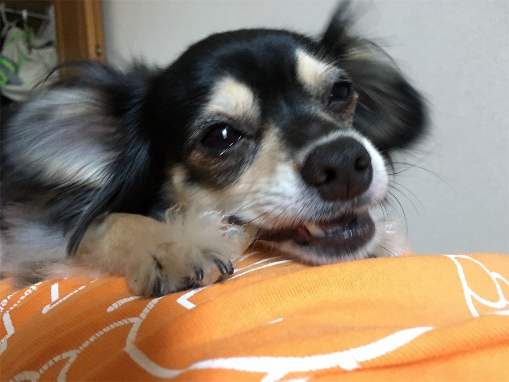 f:id:akie1000:20170604135334j:image