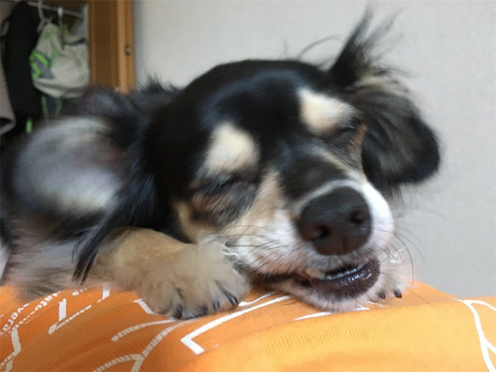 f:id:akie1000:20170604135342j:image