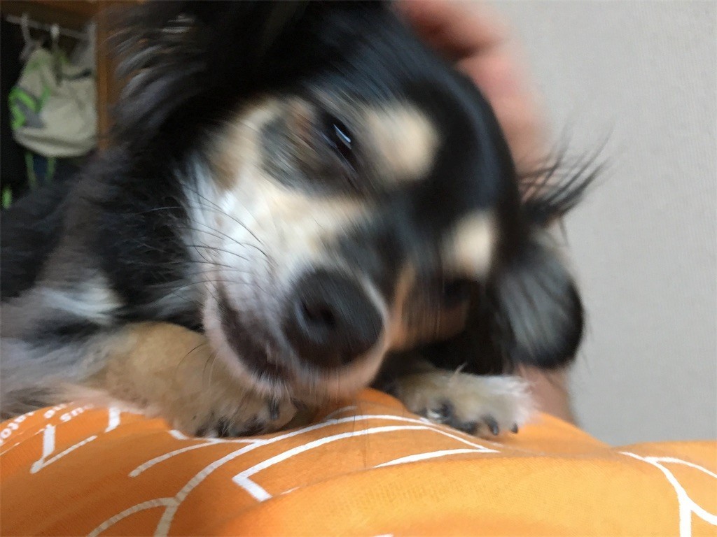 f:id:akie1000:20170604135411j:image