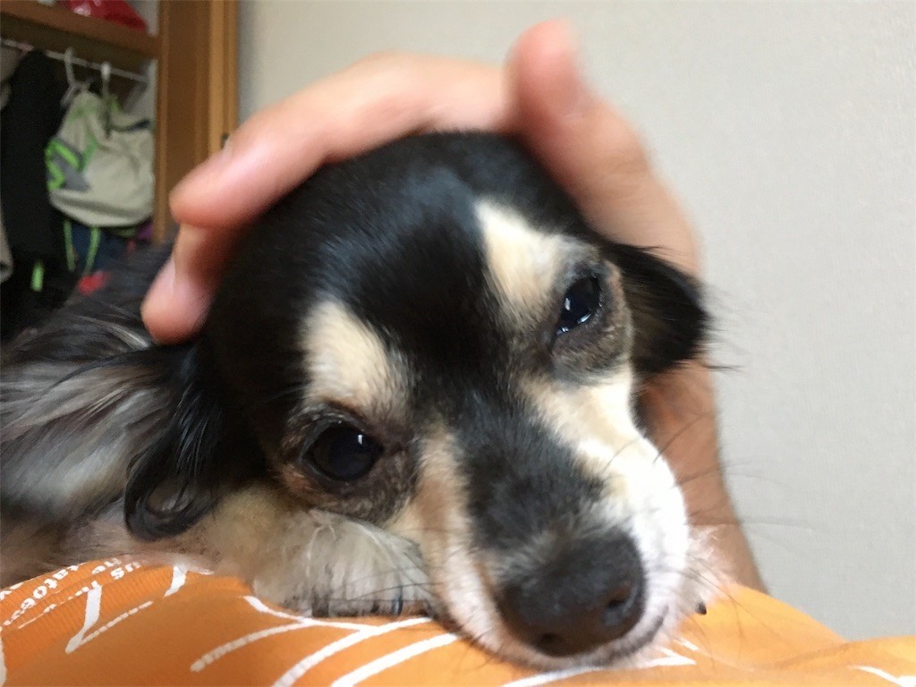 f:id:akie1000:20170604135434j:image