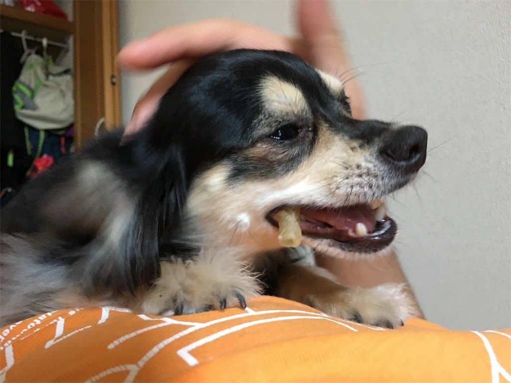 f:id:akie1000:20170604135447j:image