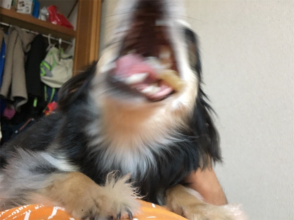 f:id:akie1000:20170604135456j:image