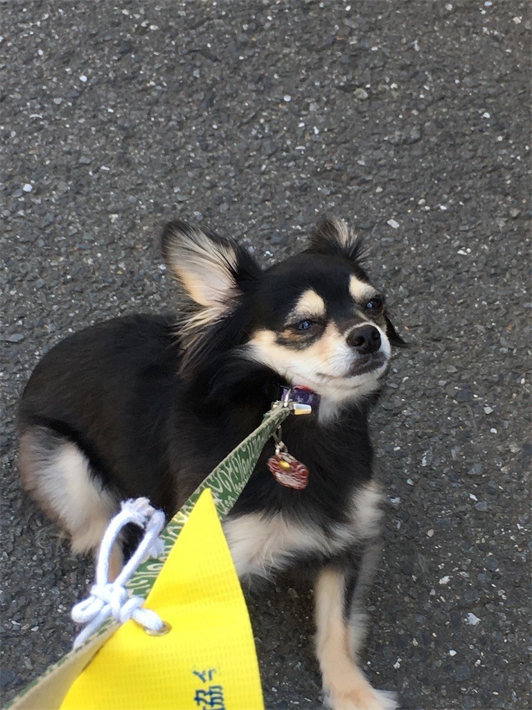 f:id:akie1000:20170604135624j:image