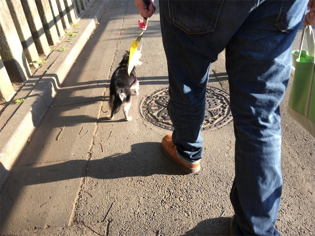 f:id:akie1000:20170604135734j:image