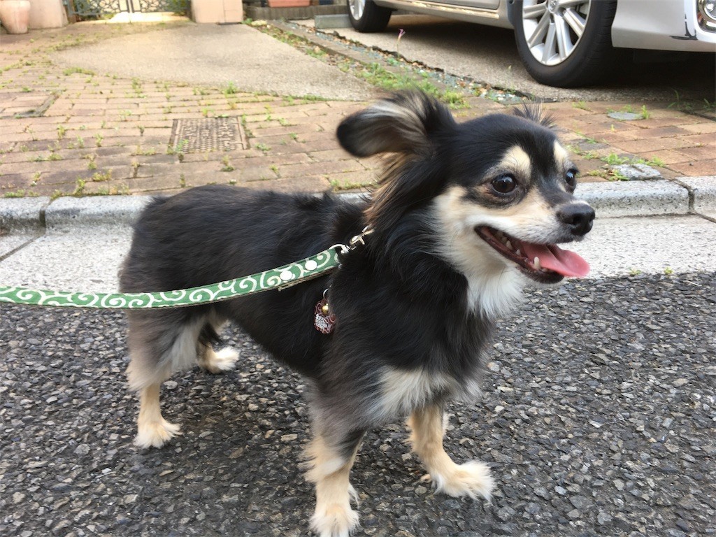 f:id:akie1000:20170604135815j:image