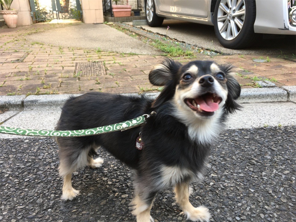 f:id:akie1000:20170604135826j:image