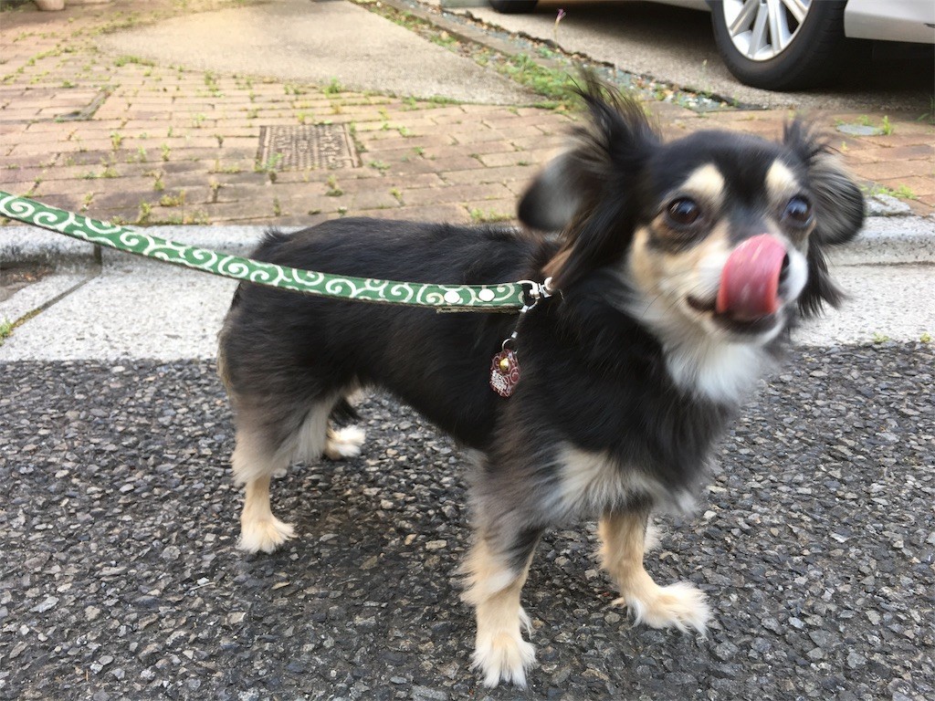 f:id:akie1000:20170604135849j:image