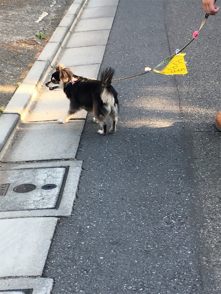 f:id:akie1000:20170604135912j:image