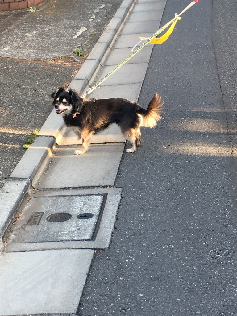 f:id:akie1000:20170604135922j:image