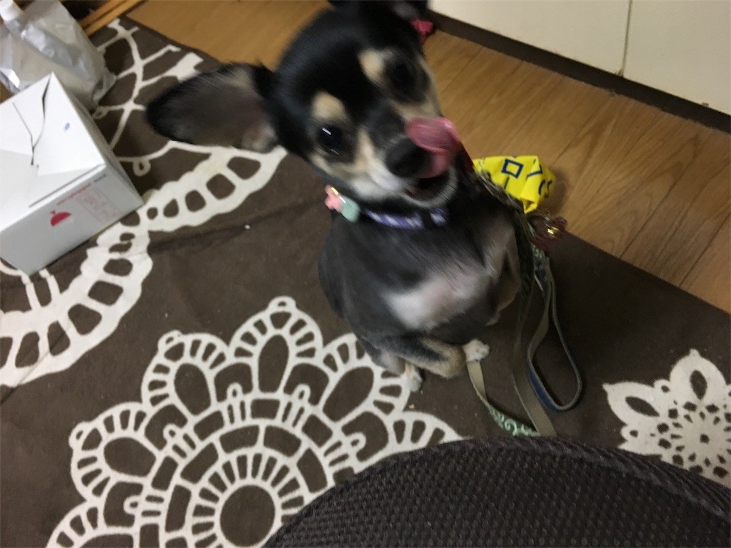 f:id:akie1000:20170623002444j:image