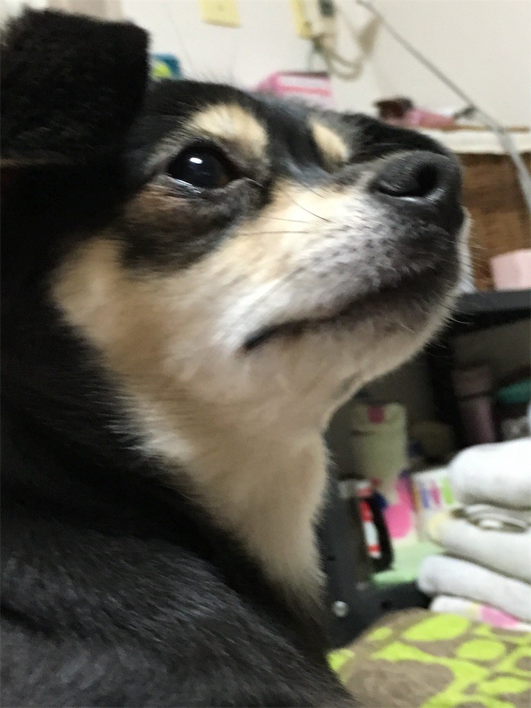 f:id:akie1000:20170702143458j:image