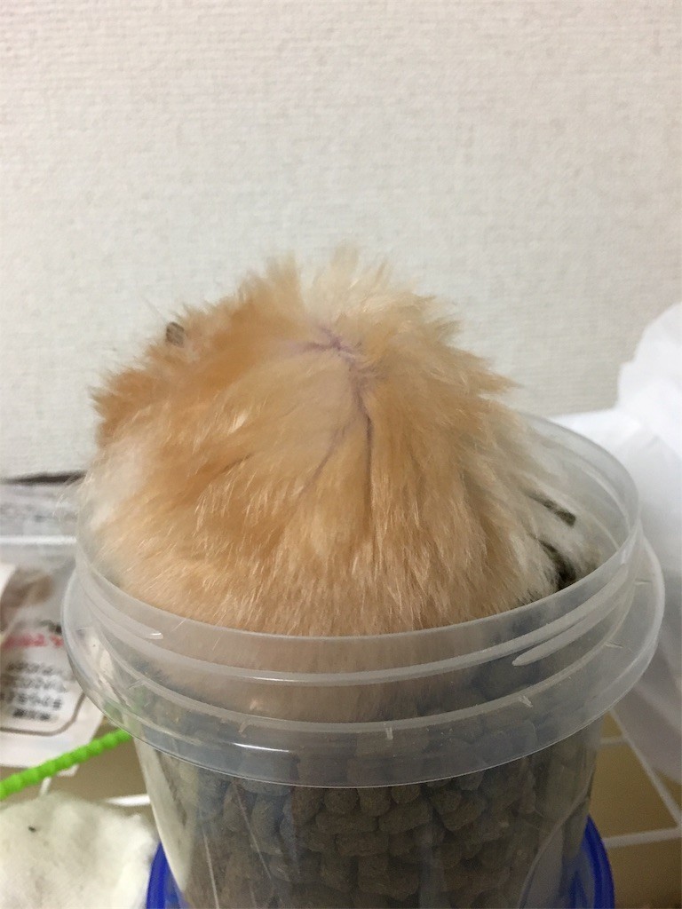 f:id:akie1000:20170705112209j:image