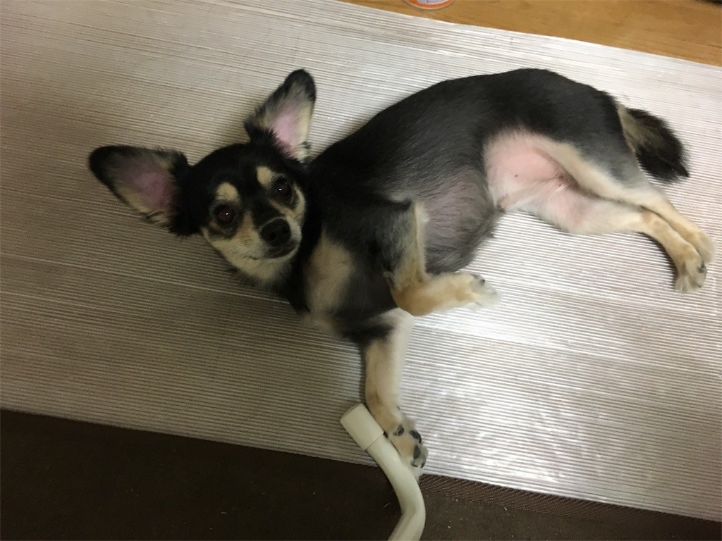 f:id:akie1000:20170723025828j:image