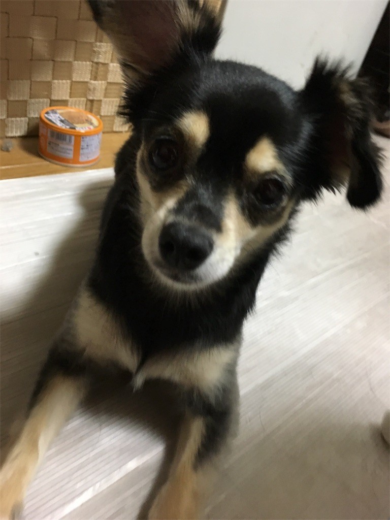 f:id:akie1000:20170723025909j:image