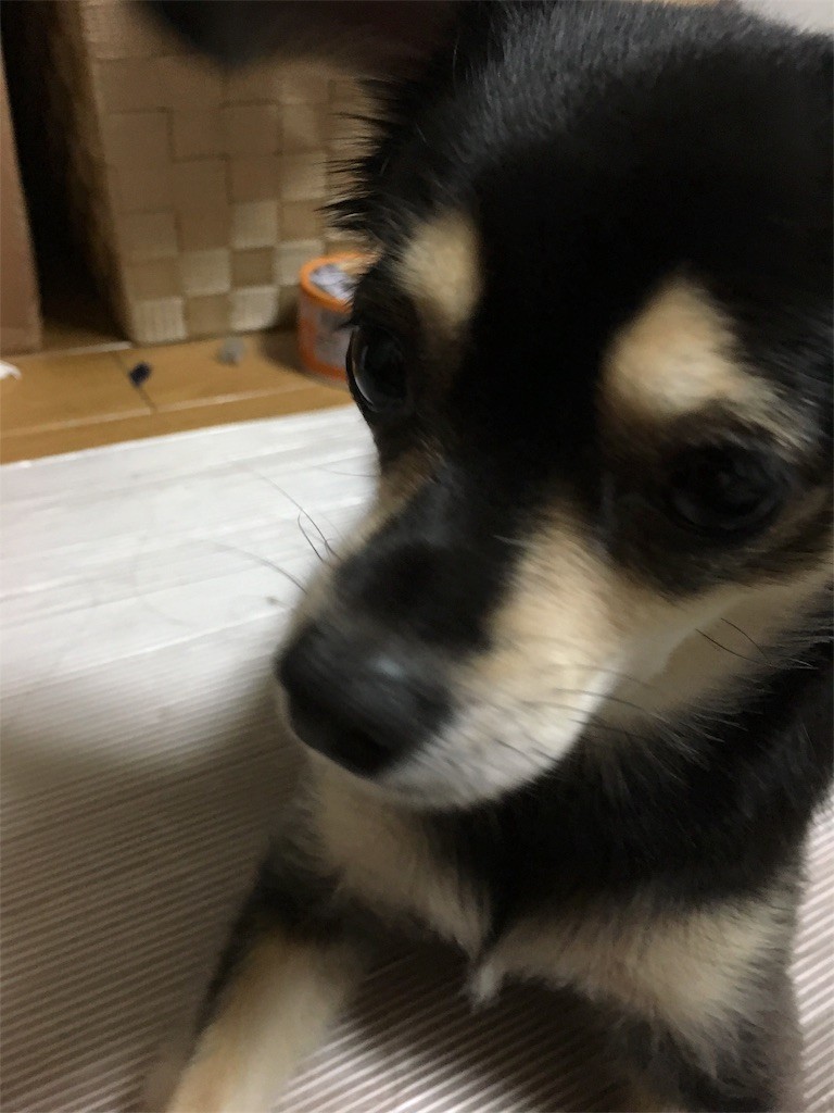 f:id:akie1000:20170723025923j:image
