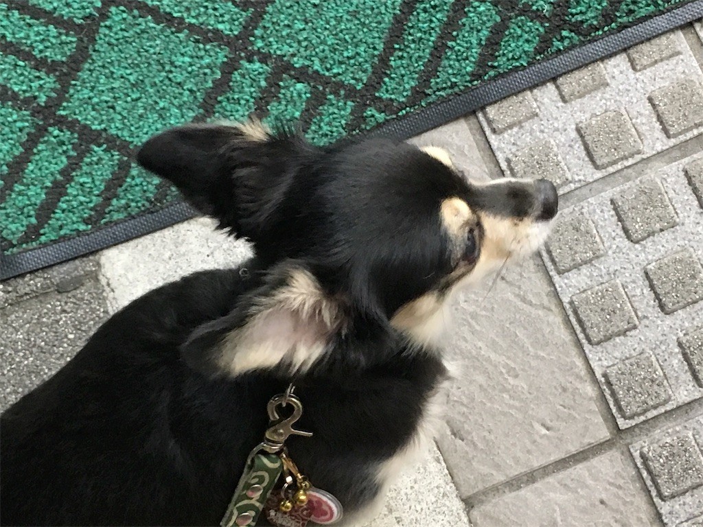f:id:akie1000:20170726011714j:image